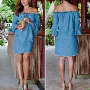 Boston Proper Blue Chambray XS Denim Top